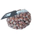 Avellana cascara en malla BIO 10X 50GR- CAN GALDERIC