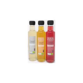 Vinagre de Kombucha Te Blanco BIO 250 ml -KOMBUCHA Vinagre de Kombucha Te Blanco BIO 250 ml -KOMBUCHA
