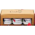 PACK Mermeladas Fresa-Arand-Mora S/A 100gr-BIO-CON